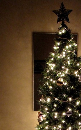 2009 Christmas tree