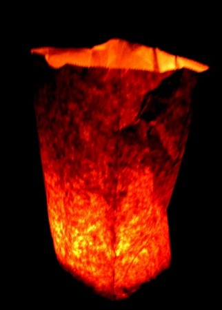 flaming bag of poo 2 One side of me says aw, a precious candle in a bag among several hundred but the other part of me says a flaming bag of poo.