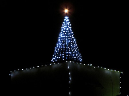 Tree atop the Malt-O-Meal Building Tree atop the Malt-O-Meal Building